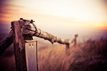 Old ranch post and a awesome view.