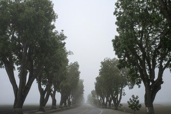A nice look at nature in it’s own.
